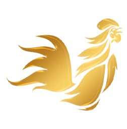 sabung ayam